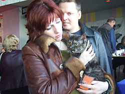 Британская короткошерстная кошка Тринити, вл. Шупилова Е.В.