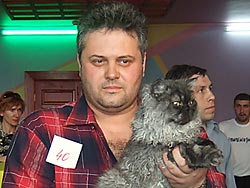 Участник Best Show - селкирк-рекс, кот Insider Cosmo (вл. Гостев С.)